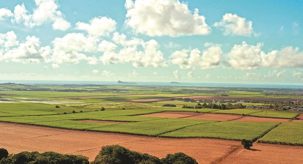 Mont Piton Residential Estate the promise of a serene and pleasant