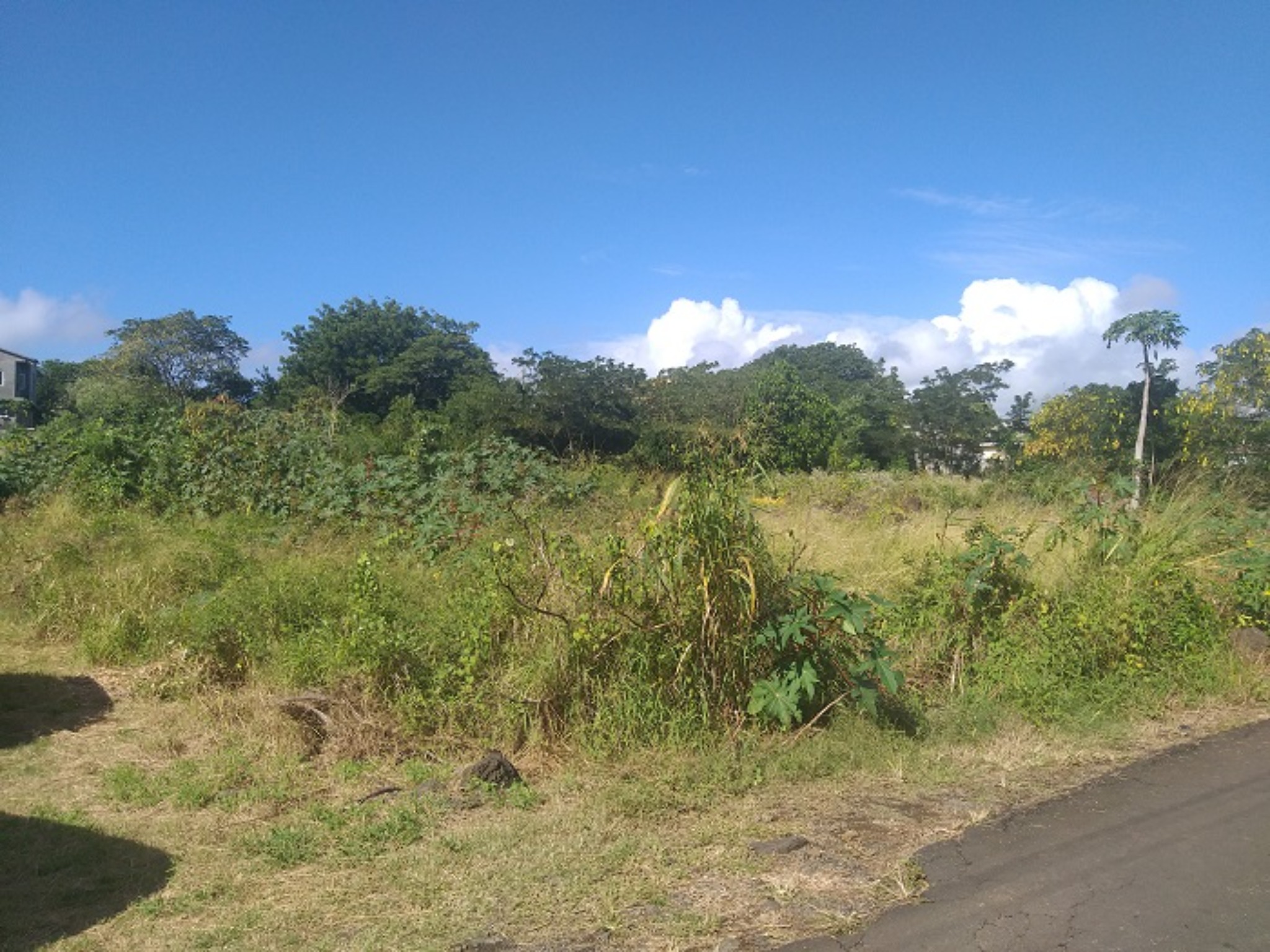 Residential land Buy in Goodlands 3,200,000 rupees Lexpress Property