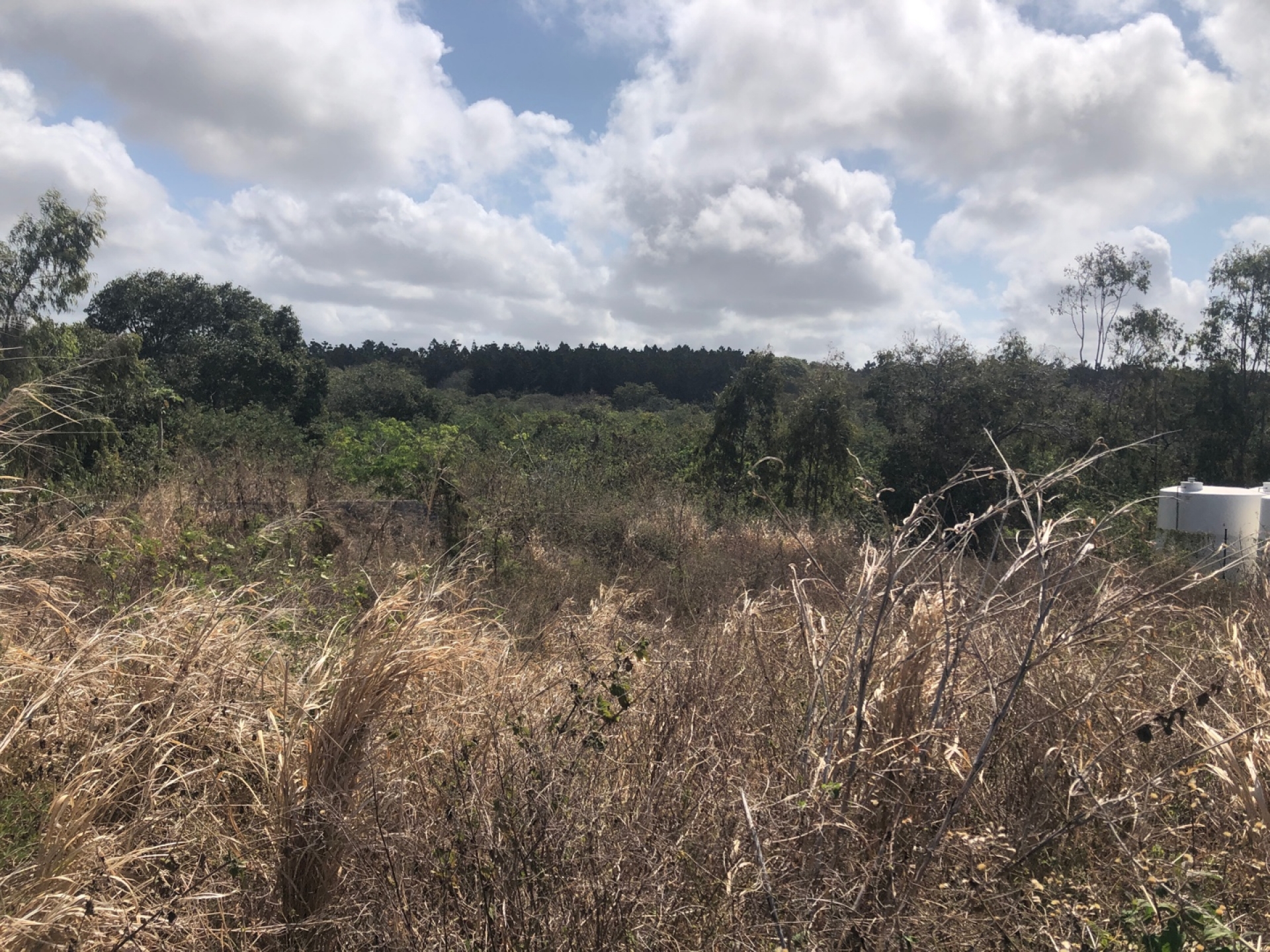 Residential land Buy in Bras d'Eau 8,035,000 rupees Lexpress Property