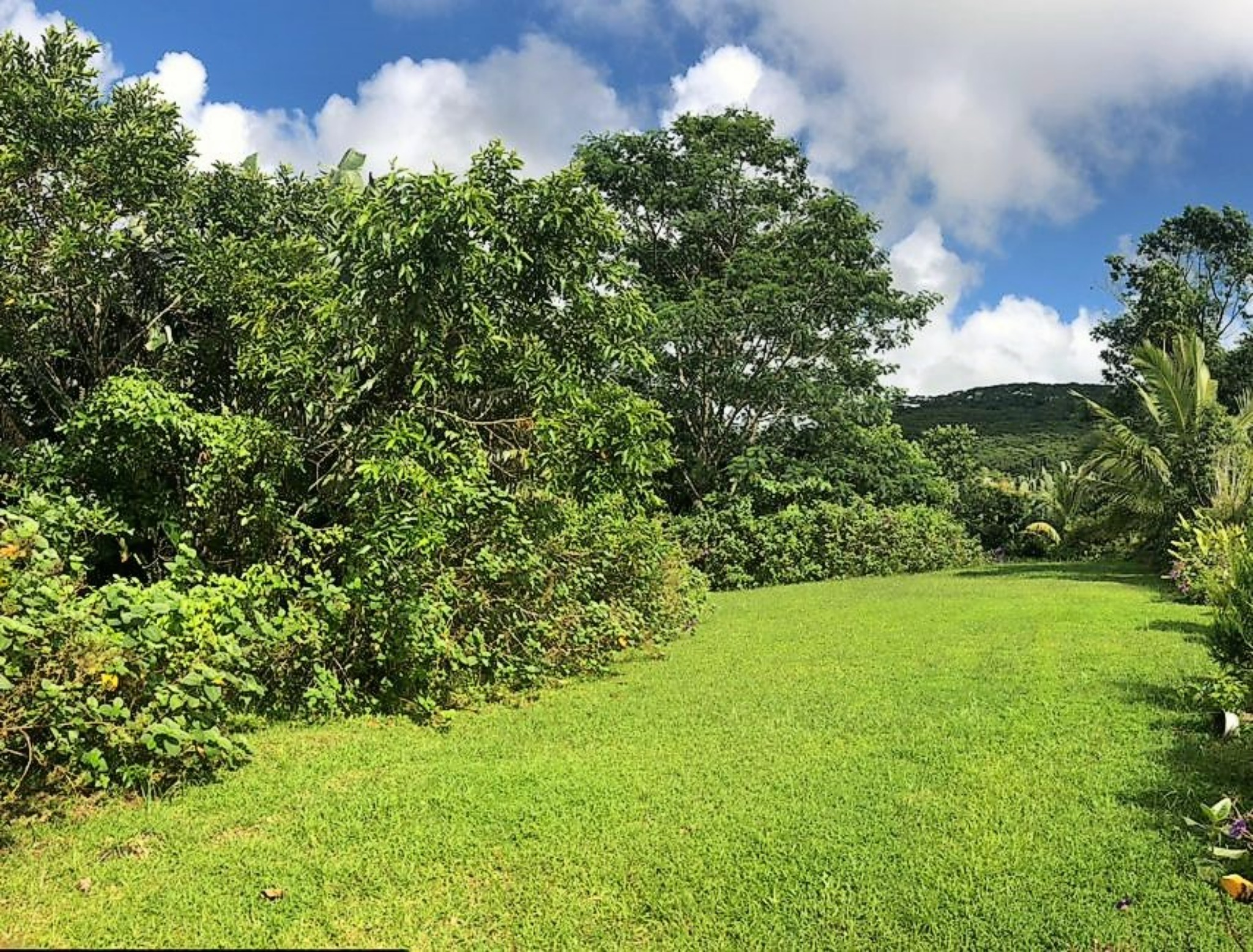 Agricultural land Buy in Sébastopol 5,200,000 rupees Lexpress