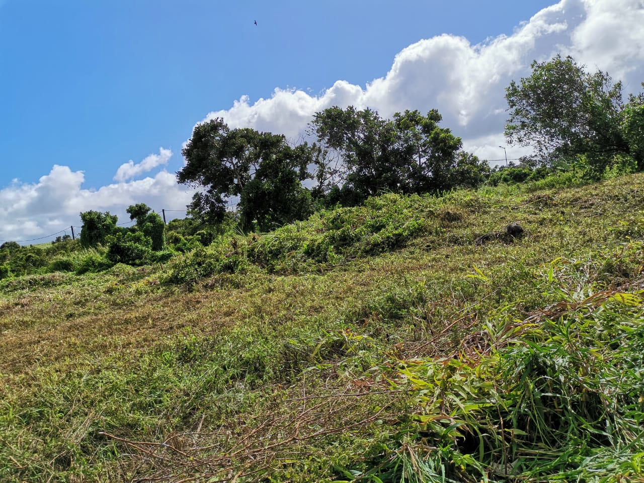 Residential land Buy in Quartier Militaire 4,700,000 rupees