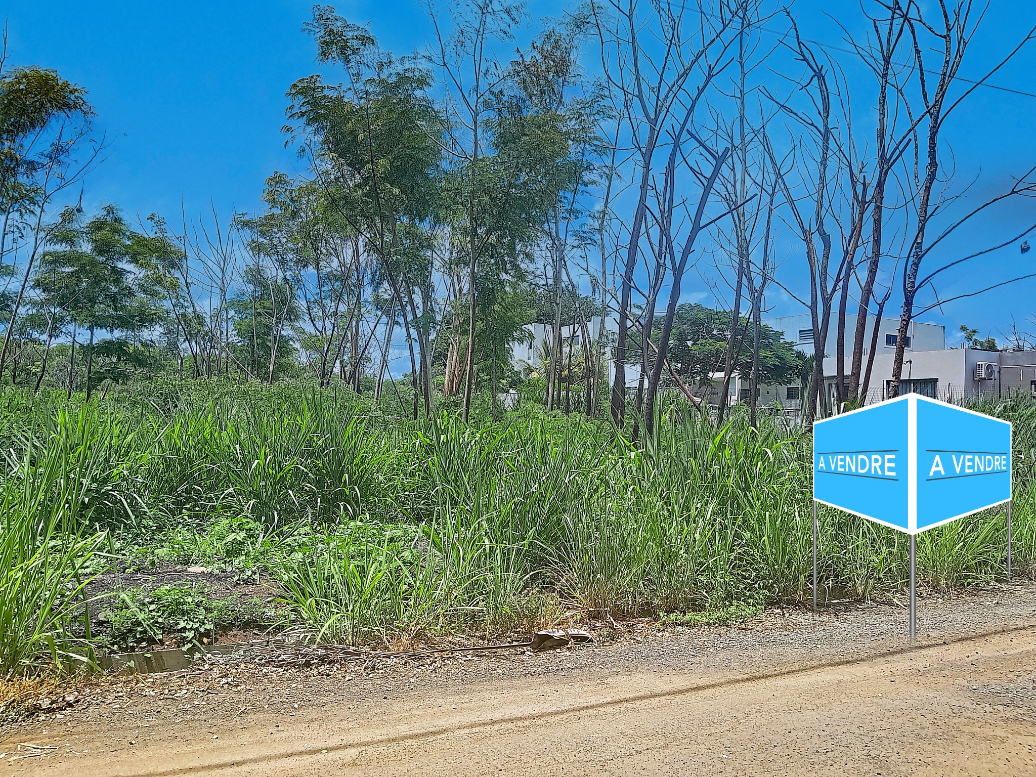 Residential land Buy in Balaclava 6,900,000 rupees Lexpress Property