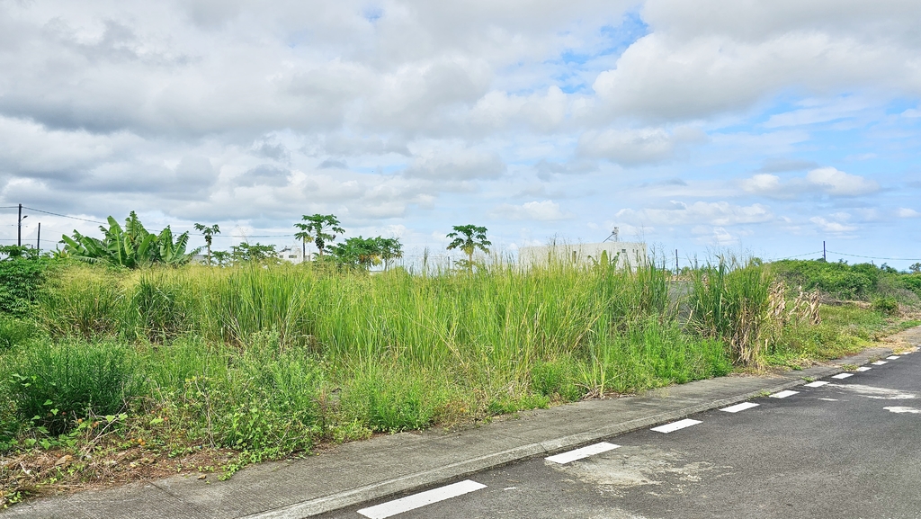 Residential land Buy in Mare d'Albert 2,700,000 rupees Lexpress