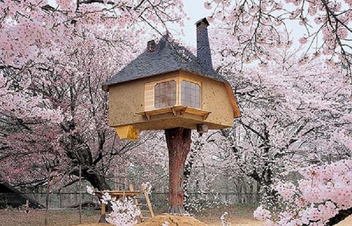 maison insolite 2