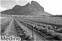 medine