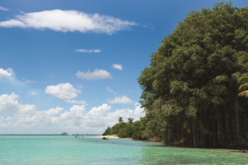 Pointe aux Sables, the new sea resort to look for Lexpress Property