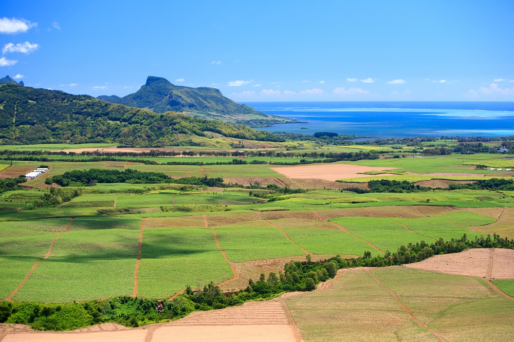 Residential Real Estate The 5 Most Popular Regions in Mauritius (And