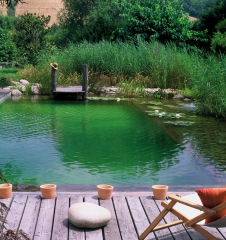 piscine naturelle