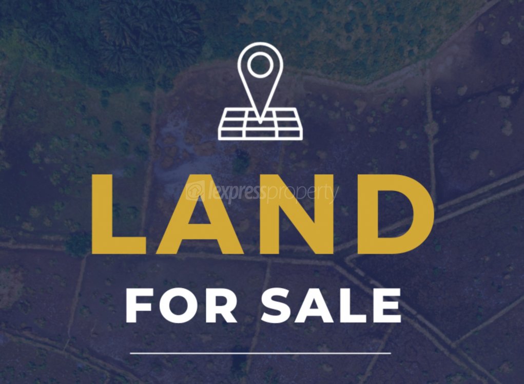 Residential land Buy in Roche Bois 2,500,000 rupees Lexpress Property