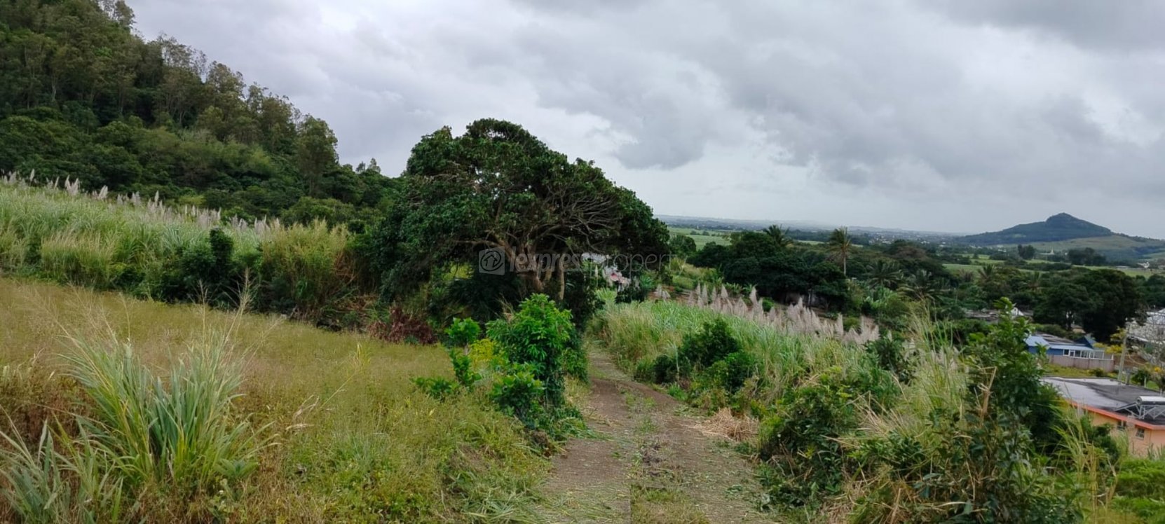 Residential land Buy in Crève Coeur 5,250,000 rupees Lexpress