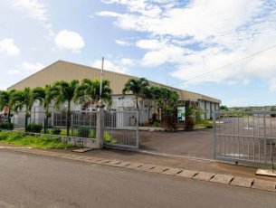 Commercial building 1920 m² Flacq Rs 350,000