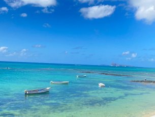 House / Villa 5 Bedrooms 300 m² Pointe aux Canonniers Rs 600,000