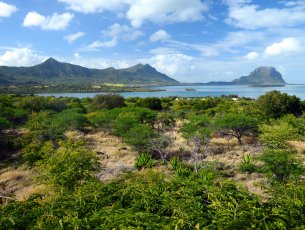 Residential land 1831 m² Black River Rs 25,267,750