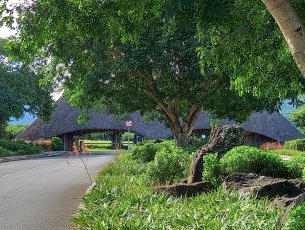Residential land 2518 m² Petite Rivière Noire Rs 16,000,000