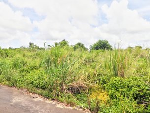Residential land 4436 m² Rose Belle Rs 13,000,000