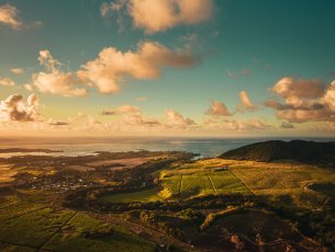 Smart City Anahita Beau Champ – Faites l'expérience d'un cadre de vie unique ancré dans la nature Beau Champ 