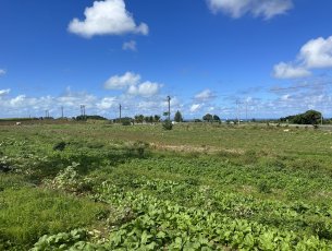 Terrain agricole 11 174.42 m² Mare d'Albert Rs 12,000,000