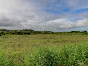 Terrain agricole 8 441.74 m² La Flora Rs 6,500,000