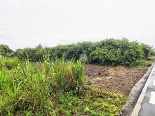 Terrain résidentiel 3030 m² Plaine Magnien Rs 16,000,000