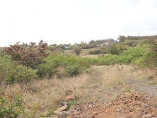 Terrain résidentiel 4221 m² Cap Malheureux Rs 16,000,000