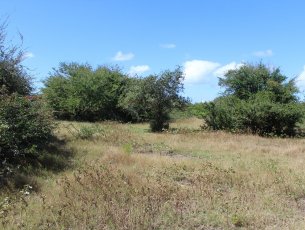 Terrain résidentiel 4722 m² Bain Boeuf Rs 25,000,000