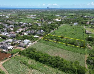 Agricultural land - 3952 m²