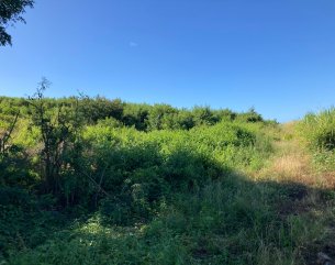 Agricultural land - 3 946.51 m²
