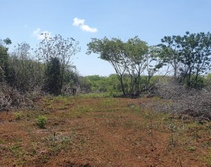 Agricultural land - 4221 m²