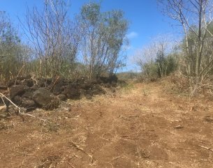Agricultural land - 4226 m²