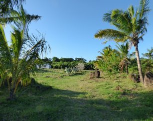 Agricultural land - 4793 m²
