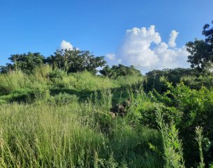 Agricultural land - 5075 m²