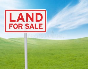 Agricultural land - 5272 m²