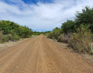 Agricultural land - 5408 m²