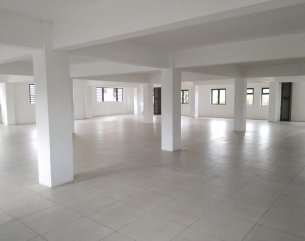 Local Commercial - 393 m²