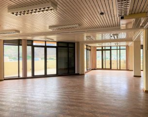Office - 319 m²
