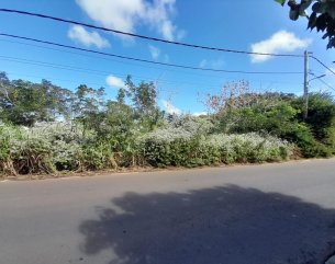 Residential land - 1266 m²