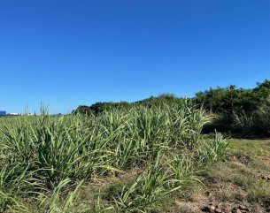 Residential land - 2366 m²
