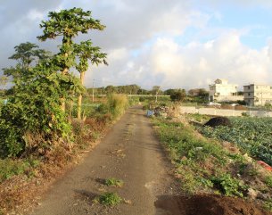 Residential land - 2568 m²