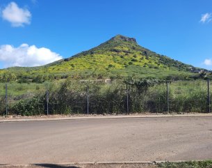 Residential land - 4333 m²