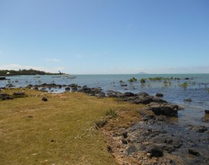 Residential land - 4931 m²
