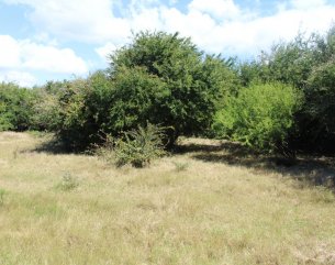 Residential land - 5611 m²