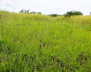 Terrain agricole - 2110 m²