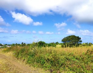 Terrain agricole - 2322 m²