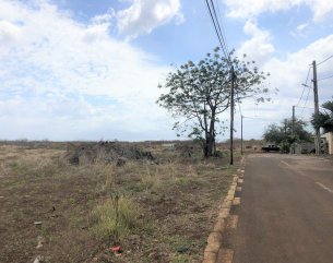 Terrain agricole - 4318 m²