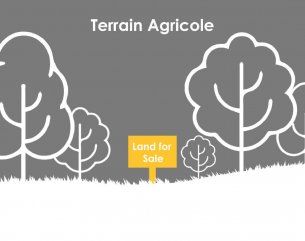 Terrain agricole - 4855 m²