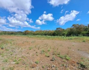 Terrain commercial - 1894 m²