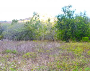 Terrain résidentiel - 2110 m²