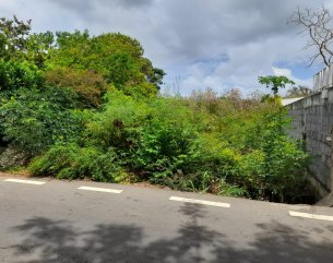Terrain résidentiel - 231 m²