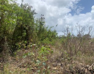Terrain résidentiel - 4260 m²