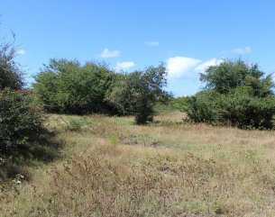 Terrain résidentiel - 4722 m²